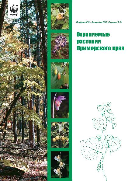 Охраняемые растения Приморского края: практическое пособие для работников лесного комплекса Приморского края