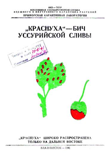 "Краснуха" - бич уссурийской сливы: "краснуха" широко распространена только на Дальнем Востоке